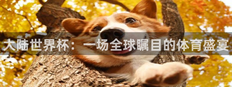 2026世界杯买球：大陆世界杯：一场全球瞩目的体育盛宴