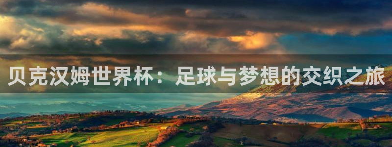 世界杯球队排名：贝克汉姆世界杯：足球与梦想的交织之旅