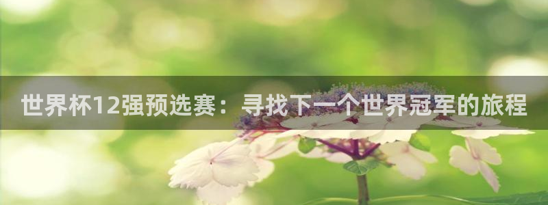 2026年世界杯：世界杯12强预选赛：寻找下一个世界冠军的旅程