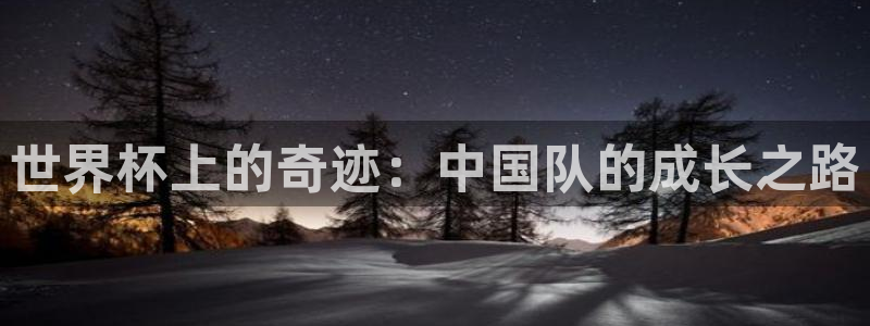 欧洲世界杯预选赛：世界杯上的奇迹：中国队的成长之路