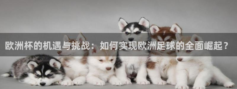 英格兰联赛杯直播：欧洲杯的机遇与挑战：如何实现欧洲足球的全面崛起？