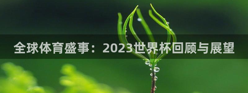 2026年男足世界杯：全球体育盛事：2023世界杯回顾与展望
