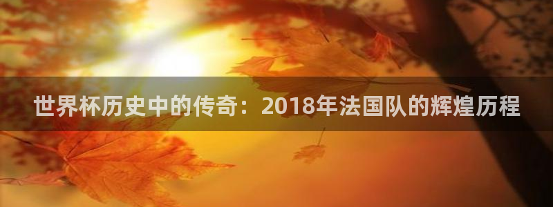世界杯 中国：世界杯历史中的传奇：2018年法国队的辉煌历程