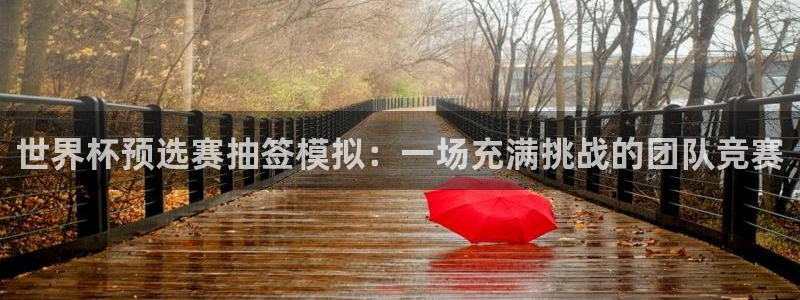 世界杯足球赛2026赛程时间：世界杯预选赛抽签模拟：一场充满挑战的团队竞赛
