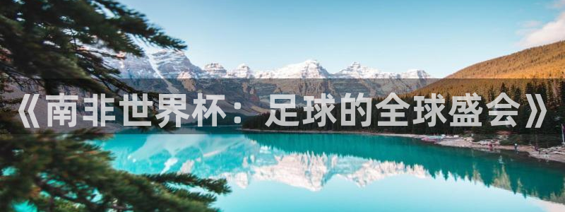 英格兰联赛杯直播：《南非世界杯：足球的全球盛会》