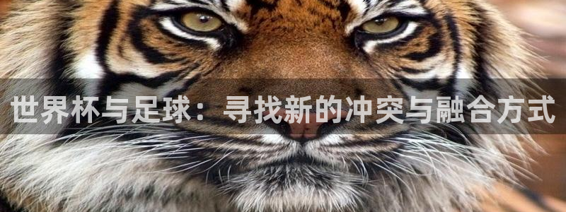 男足世界杯预选赛赛程：世界杯与足球：寻找新的冲突与融合方式