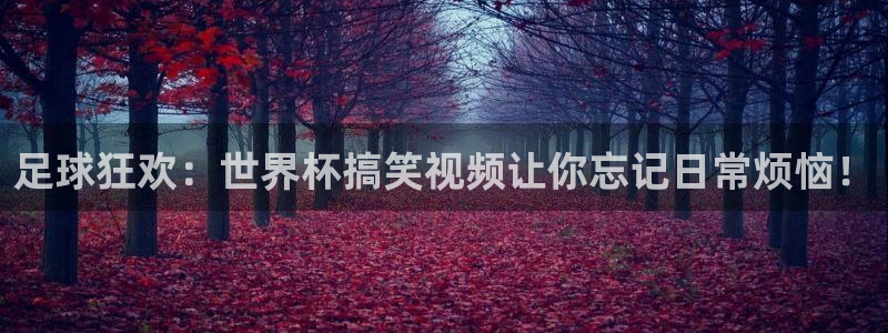 2026世界杯亚洲预选赛赛程：足球狂欢：世界杯搞笑视频让你忘记日常烦恼！