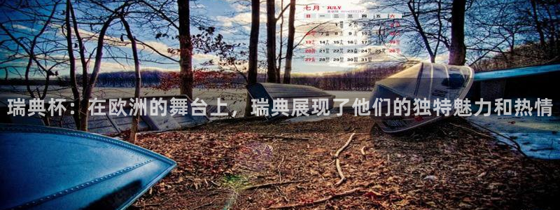 世界杯比赛：瑞典杯：在欧洲的舞台上，瑞典展现了他们的独特魅力和热情